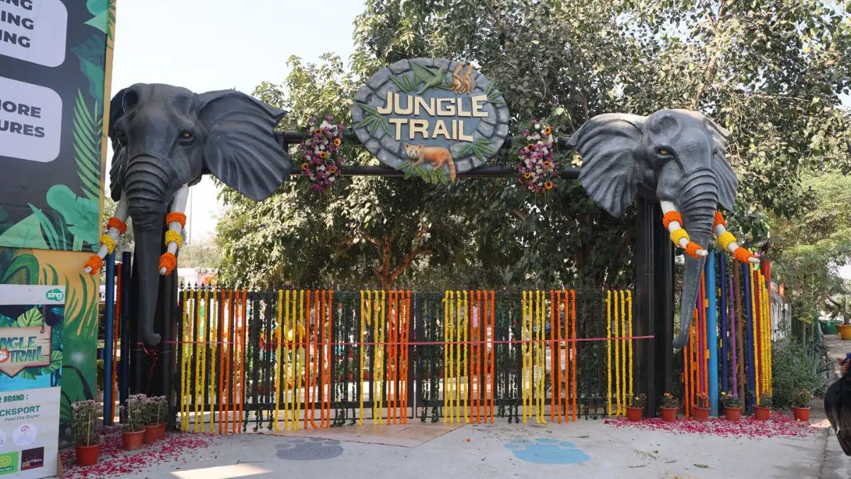 Jungle Trail